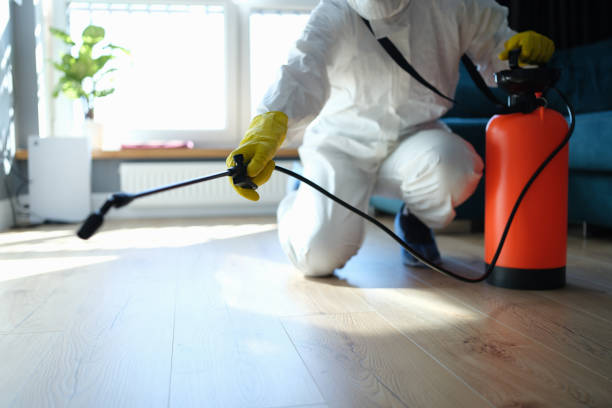 Reliable Biohazard Cleanup contractor in Allyn, WA by Trauma Clean Pros